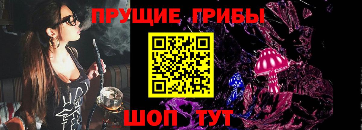 Псилоцибиновые грибы Cubensis Салехард